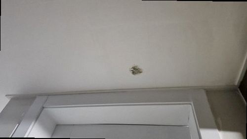 은평구 누수탐지 불광동 빌라 4층 거실 벽 옆 시공 후기 사진
