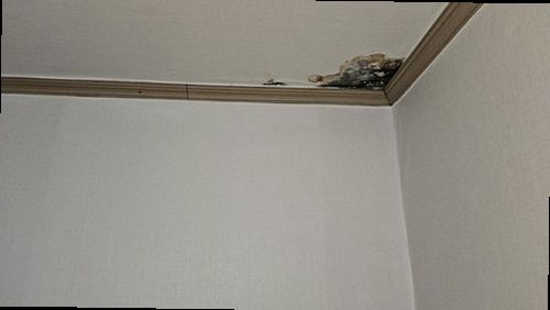 옹진군 누수탐지 연평면 단독주택 마당 지하 급수관 시공 후기 사진