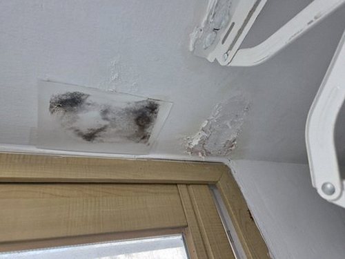 누수탐지 목동 누수탐지 안방 벽지 변색 뒤에 숨은 원인과 신호
