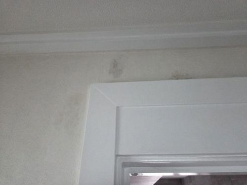 여주 누수탐지 북내면 상가주택 3층 계단실 천장 시공 후기 사진