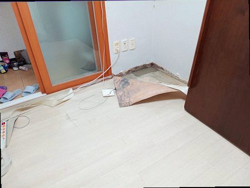 누수탐지 배관 주변을 확인하며 누수 의심 지점을 살피는 현장 모습