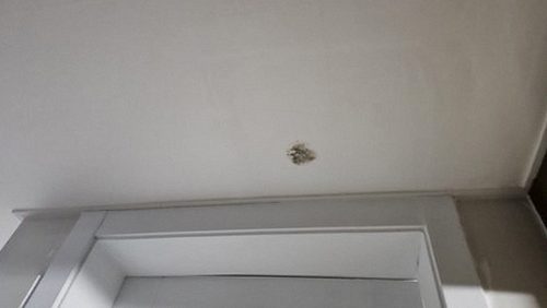 누수탐지 내촌면 누수탐지 누수배관찾기 신호를 읽는 기본 원리