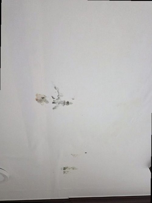 미세누수 정밀탐지 수정구 누수탐지 미세누수 정밀탐지