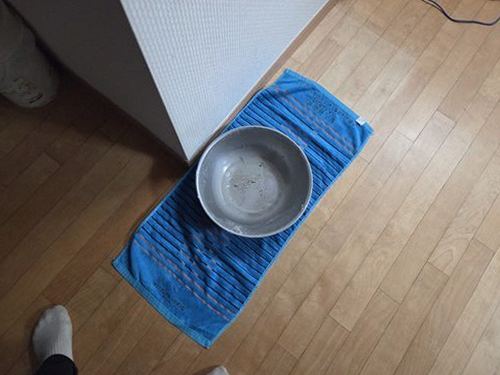 누수탐지 정자동 누수탐지 보험 처리까지 살피는 해결 기준