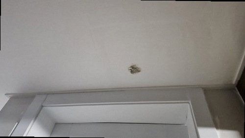 기흥구 누수탐지 지곡동 아파트 8층 거실 바닥 시공 후기 사진