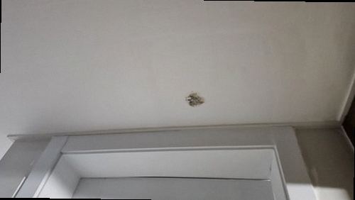 동탄구 누수탐지 영천동 아파트 7층 거실 주방 인접 벽면 시공 후기 사진