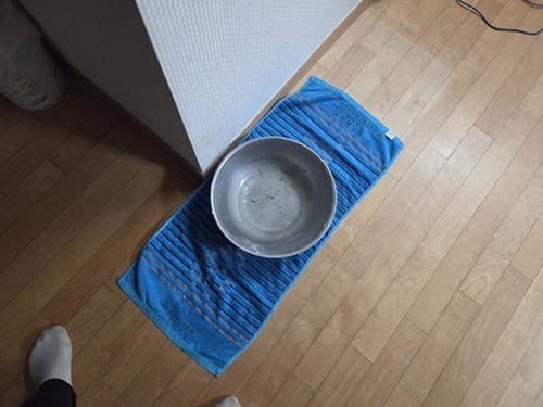 누수탐지 마도면 누수탐지 빌라 천장 얼룩을 당일 현장 점검으로 확인