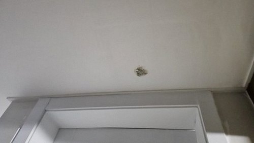 누수탐지 매송면 누수탐지 거실천장곰팡이 원인 3단계 점검