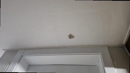 제물포구 누수탐지 숭의동 빌라 4층 세탁실 바닥 시공 후기 사진