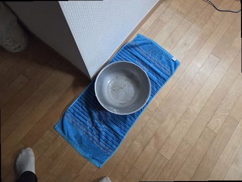 아산시 누수탐지 누수 의심 공간의 벽면과 천장 흔적을 점검하는 모습