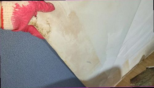 아산시 누수탐지 배관 주변 습도와 누수 의심 구간을 확인하는 현장 점검