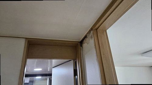 관악구 누수탐지 삼성동 단독주택 지하 창고 시공 후기 사진
