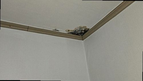 아산시 누수탐지 음봉면 상가건물 1층 창고 시공 후기 사진