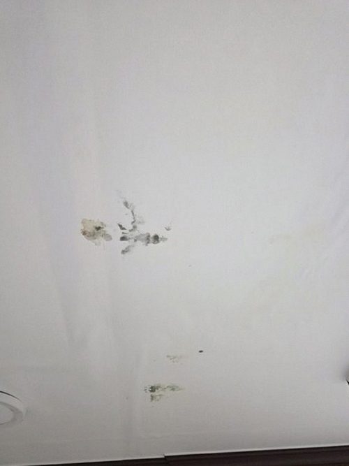 누수탐지 군포동 천장누수 미루면 누수피해보험 접수가 어려워집니다