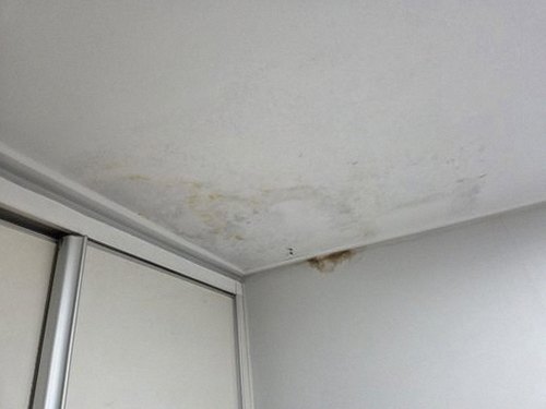 누수탐지 안성동 누수탐지 아파트 천장 얼룩 직접 해보니 달랐던 점