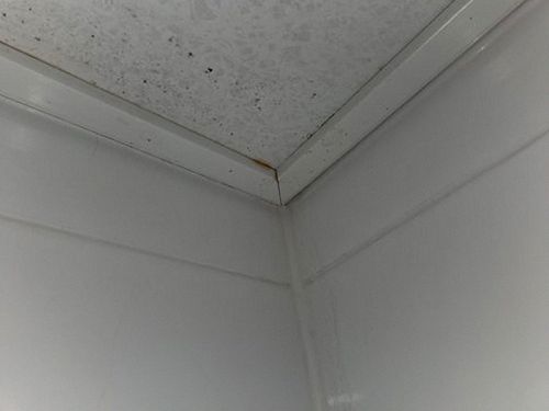누수탐지 천장 얼룩과 물방울 발생 지점을 안전한 거리에서 확인하는 모습