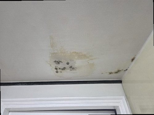 미세누수 정밀탐지 양평 누수탐지 미세누수 정밀탐지
