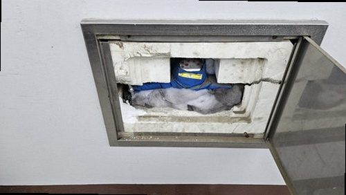 연천 현장 진단 연천 현장 진단