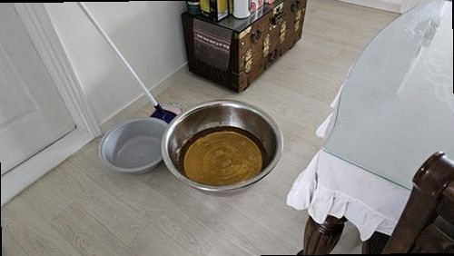 파주 현장 진단 파주 현장 진단