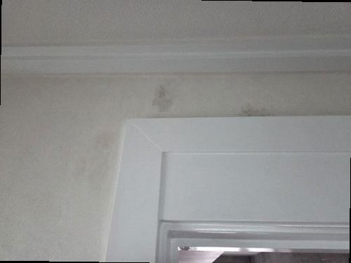 포천 누수탐지 신읍동 다가구주택 3층 계단실 벽 시공 후기 사진