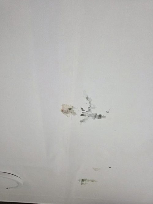 누수탐지 하광교동 천장누수탐지 3단계와 보상 준비