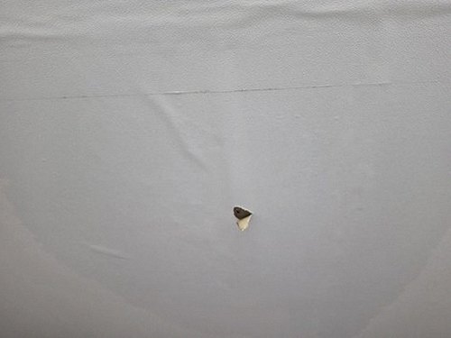 누수탐지 평안동 누수탐지 아파트 천장 얼룩 자가와 전문 점검 비교