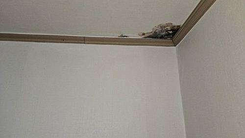 누수탐지 내가면 누수탐지 아파트 윗집 누수 원인 가르는 3가지 기준