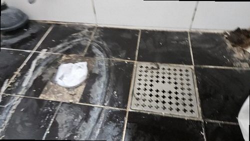 강남구 현장 확인