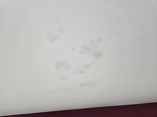 누수탐지 양재동 누수탐지 아파트 거실 벽지가 젖는 이유는 무엇일까