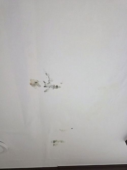 누수탐지 용두동 누수탐지 아파트 천장 얼룩 3가지 신호