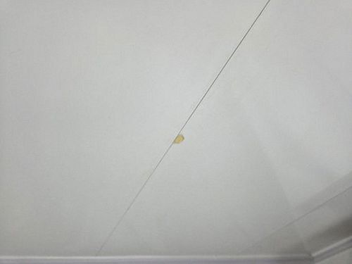 누수탐지 도화동 누수탐지 거실 천장 얼룩이 번지는 아파트 점검법