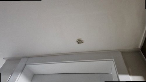 만안구 누수탐지 석수동 빌라 4층 세탁실 벽면 시공 후기 사진