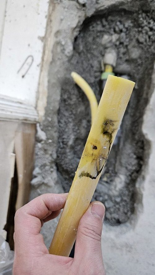 누수탐지 연수동 누수탐지 배관누수현상 방치하면 손상이 커집니다