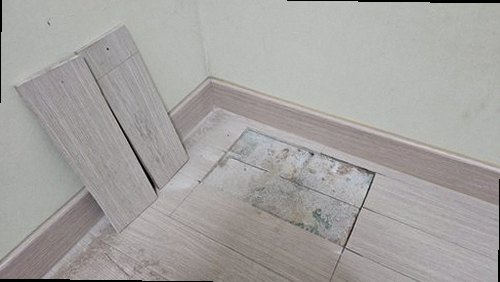 서해구·검단구 현장 확인