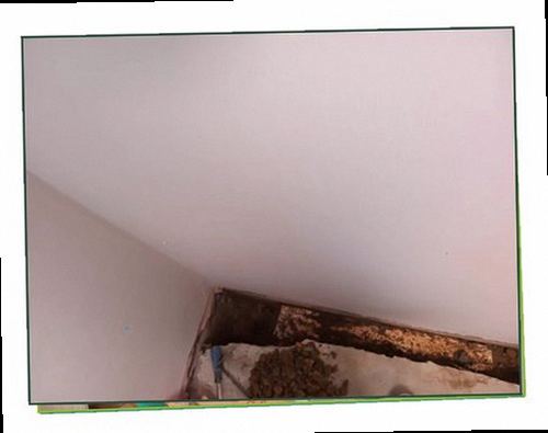 강북구 누수탐지 누수 원인 분류와 수리 후 재점검 절차를 정리한 현장 안내
