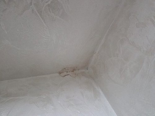 누수탐지 묘동 누수탐지 윗집싱크대누수 현장 사례와 원인 구분