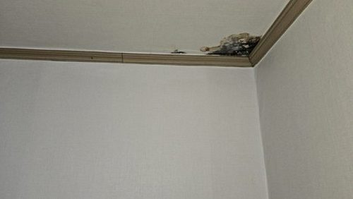 누수탐지 처음 알아보는 층간누수 대응 안내