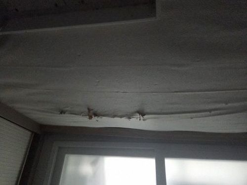 누수탐지 배관 경로를 따라 젖음 흔적을 확인하는 점검 장면