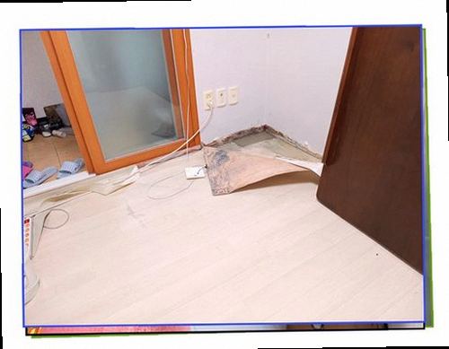 시흥 누수탐지 천장과 벽면의 누수 흔적을 확인하며 위치를 기록하는 모습
