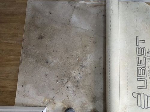 누수탐지 청산면 누수탐지 빌라 안방 벽면 얼룩의 진단 신호