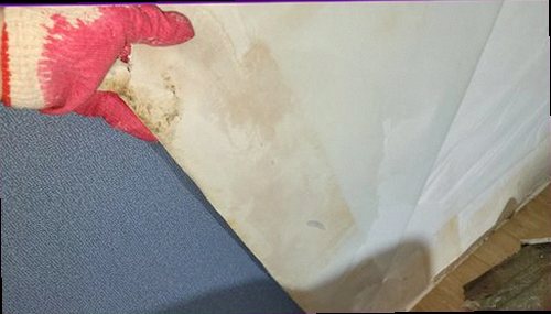 덕양구 누수탐지 배관 주변 수분 상태와 계량기 변화를 확인하는 점검 장면