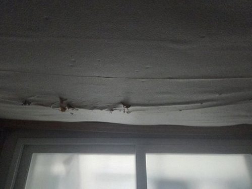 누수탐지 천장 모서리 얼룩과 벽지 들뜸을 점검하는 현장 모습