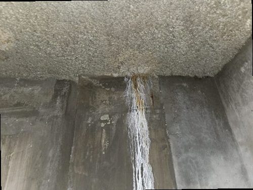 누수탐지 벽지 얼룩과 누수 경로를 점검하는 현장 장면