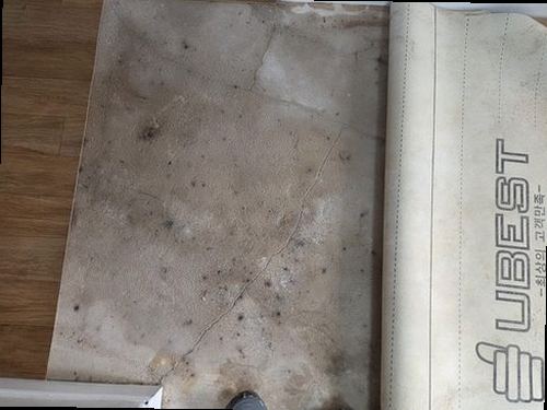 팔달구 누수탐지 실내 벽면 얼룩과 바닥 들뜸을 확인하는 점검 모습