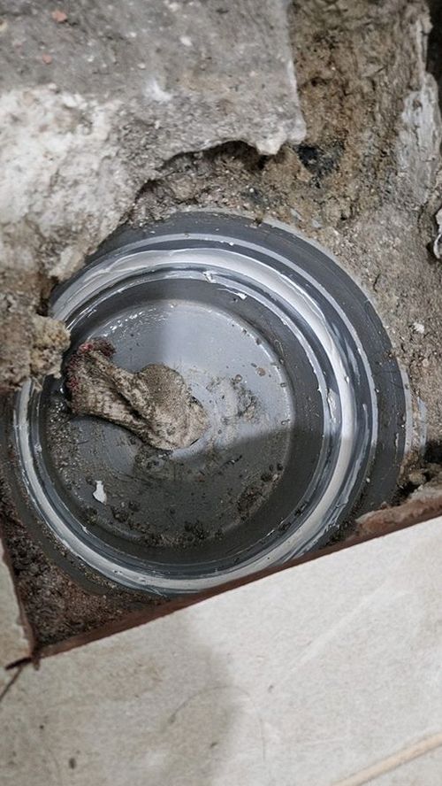 누수탐지 욕실 천장 얼룩과 배관 점검 현장 장면