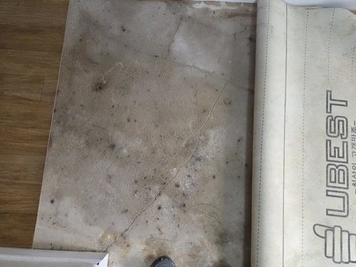 누수탐지 북도면 누수탐지 당일 접수로 빌라 욕실 누수 원인 찾은 과정