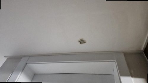 천안시 서북구 완료 점검 천안시 서북구 완료 점검
