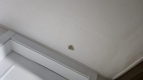 누수탐지 옥정동 누수탐지로 천장물샘해결 방향 정리하는 마무리
