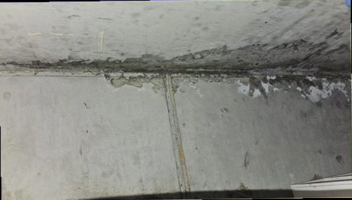 광명 누수탐지 천장에 발생한 누수 흔적과 주변 변색을 확인하는 모습