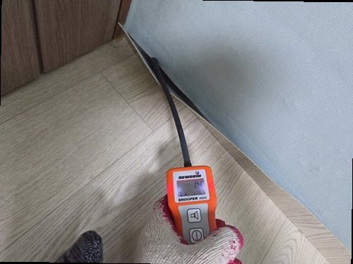 여주 전화 연결 여주 전화 연결